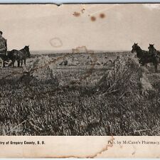 c1900s Gregory County, SD Farm Men Wheat Harvest McCann Pharmacy Dallas S.D A169 picture
