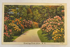 C. 1944 Postcard Greetings From Afton, NY picture