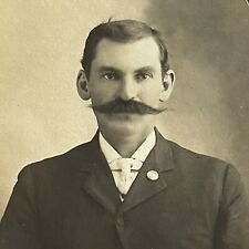 Antique Cabinet Card Photograph Dapper Man Fabulous Long Mustache picture