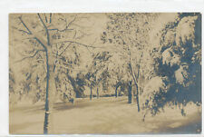 RPPC - B&W Snow covered trees & ground - House in background - photo postcard picture