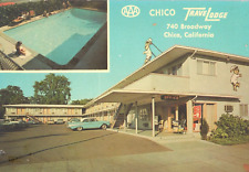 1950's Chico Travelodge Motel Pool People Old Cars Rambler California Postcard picture