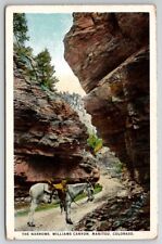 Manitou Colorado Donkey In The Narrows Williams Canyon Postcard R28 picture
