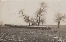 Sheep The Morning Meal Greetings from Maytel? Ohio c1900s RPPC Photo Postcard picture