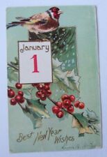 1906 Postcard Embossed * Happy New Year January 1 Bird Holly Berries Leaves picture