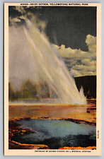 Daisy Geyser Yellowstone National Park Bozeman Montana VTG Postcard (Beautiful) picture