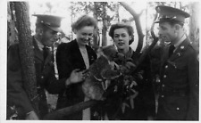 Vintage Photo Women Men Koala Bear Australia US Military WWII picture