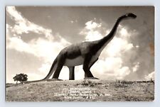 Postcard RPPC South Dakota Rapid City Dinosaur Park Brontosaurus 1950s Unposted picture