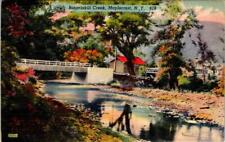 Maplecrest, NY New York BATAVIAKILL CREEK & BRIDGE Greene County LINEN Postcard picture