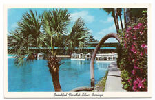 FL Postcard Florida Silver Springs Horse Shoe Palm picture