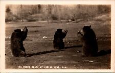 RPPC Postcard The Three Bears at Indian Head White Mts NH picture