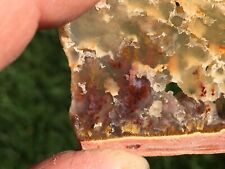 Carey Plume Agate Polished Slab Both Sides Bold Red Plumes picture