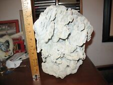 Large Sponge Coral ~6 pounds and 15 ounces picture