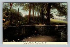 Spring In Cherokee Park, Louisville Kentucky Vintage Postcard picture