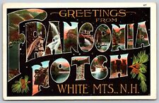 Postcard Greetings from Franconia Notch White Mts NH large letter C32 picture