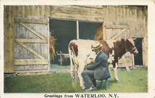 Greetings From Waterloo Man Milking Cow Suit Barn Straw Hat WB New York VTG P94 picture