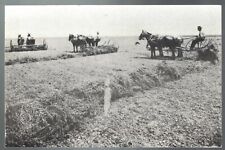Horse Drawn Hay Rakes Near Clarksburg, CA (1986) - Postcard picture