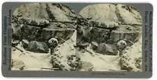 Alaska Gold Rush GOLD MINERS DIGGING GOLD IN BANK OF SOIL Stereoview 9299 kak12 picture