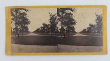 Central Park New York The Mall Looking North Stereoview picture