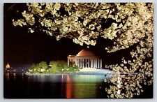 Postcard - The Jefferson Memorial Night View - Washington DC picture
