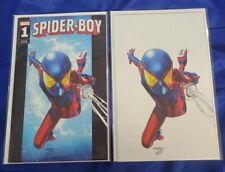 Spider-Boy #1 Spectral Exclusive MIKE MAYHEW Variant Cover Set Match #d with COA picture