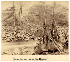 India, Darjeeling, Bamboo Bridge Rangeet River Vintage Print, Albumin Print picture
