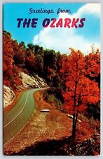 Greetings Ozarks American Midwest Scenic Autumn Landscape Chrome Postcard picture