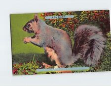 Postcard A Nut Cracker picture