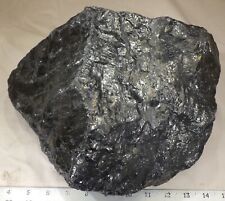 rm69 - Lapidary Quality JET - Vietnam - 12.7 lbs - FREE USA SHIPPING #2081 picture