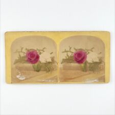 Rose Flowers Antiquarian Book Stereoview c1870 Tinted Floral Still Life Art D891 picture