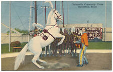 Gainesville Community Circus, Gainesville, Texas 1950s picture