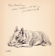 Vintage Lucy Dawson Bull Terrier Print Wall Art Decor 1940s Bull Terrier 5092d picture