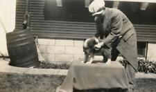 MT154 Vtg Photo BORDER COLLIE PUPPY SHOW STANCE PRACTICE, POSING c Early 1900's picture