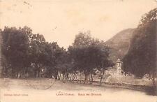 CPA 20 CORSICA LEVIE SOUS LES OLIVIERS (cpa rare picture