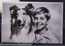 Lassie B & W Photo - 2