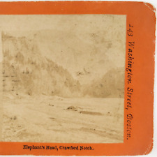 Crawford Notch Elephant's Head Stereoview c1870 Carroll New Hampshire Rock E995 picture