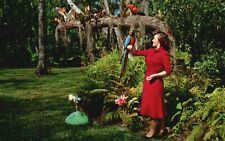 Postcard FL Naples FL Orchid Cathedral Woman With Macaw Vintage PC J2705 picture
