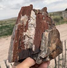 ☘️RR⚒: Rough Druzy Arizona Petrified Wood W/barite Crystals, 6.5 Lb 🌈 picture