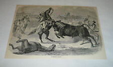 1878 magazine engraving ~ A TERRIBLE CHARGE Bullfighting, Spain picture