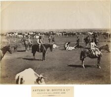 Argentina gauchos men on horses roping cattle cows antique photo by Arturo Boote picture