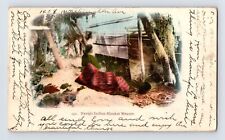 Postcard Colorado Springs CO Navajo Native American Blanket Weaver PMC 1905 picture