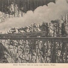 Great Northern Train in Scenic Washington WA 1900s Postcard Railroad Tracks picture