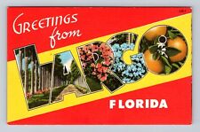 Largo FL-Florida, Greetings, Orange Blossom, Gardens, Palms, Vintage Postcard picture