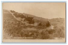 c1920's The Garden Of Gethsemane Jerusalem Israel RPPC Photo Vintage Postcard picture