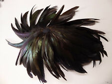 Bersaglieri feathers for Italian M33 helmets or Hats Made in Italy picture