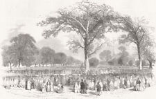 LONDON. Kensington Gardens-The band 1851 old antique vintage print picture picture
