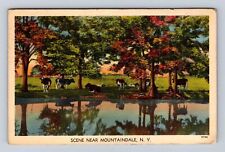 Mountaindale NY-New York, General Greeting, Cows at Lake, Vintage c1942 Postcard picture