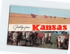 Postcard Greetings from Kansas USA picture