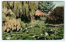 1909 Lily Pond Borax Smith Oakland CA California Postcard View picture