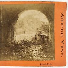 Passaic Falls New Jersey Stereoview c1870 River Runnel Great Waterfall B1927 picture