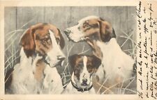 UDB Swiss Postcard Hand-Colored Dogs Hunting Hound Breeds, Posted 1902 picture